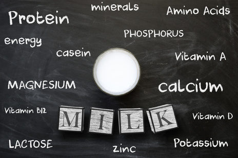 牛乳の成分がカルシウムを奪う？